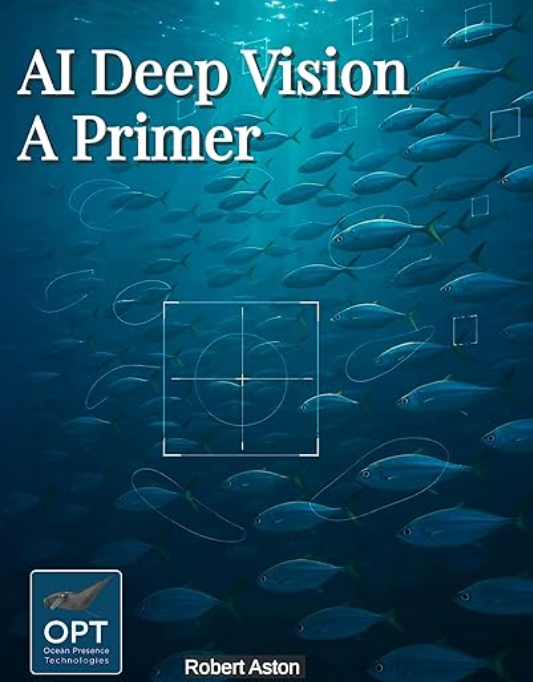 AI Deep Vision – A Primer presents a forward‑looking exploration of how artificial intelligence, ultra‑high‑definition imaging, and advanced PTZ (pan‑tilt‑zoom) systems are transforming underwater 